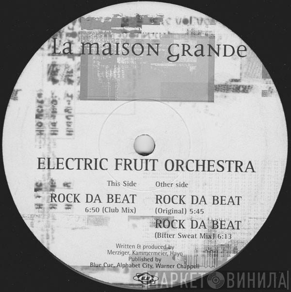Electric Fruit Orchestra - Rock Da Beat
