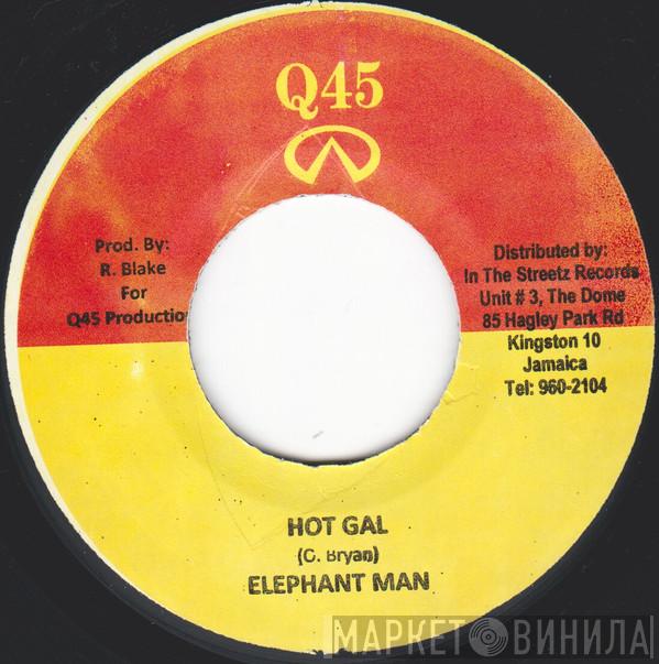  Elephant Man  - Hot Gal