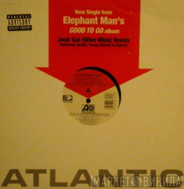  Elephant Man  - Jook Gal (Wine Wine) (Remix)