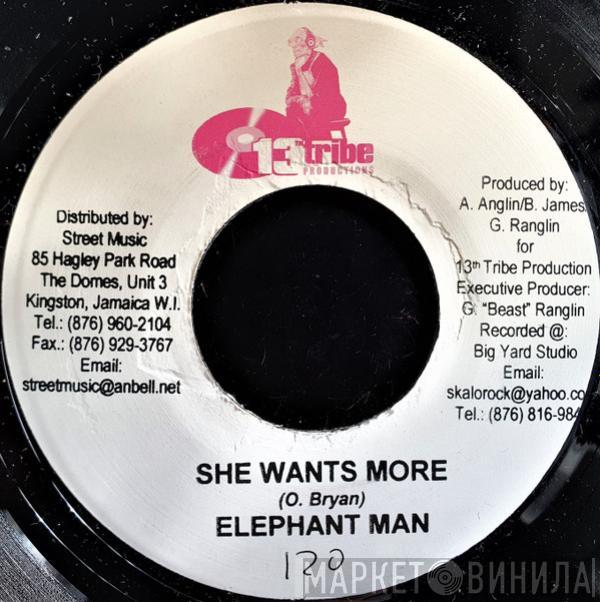 Elephant Man - She Wants More