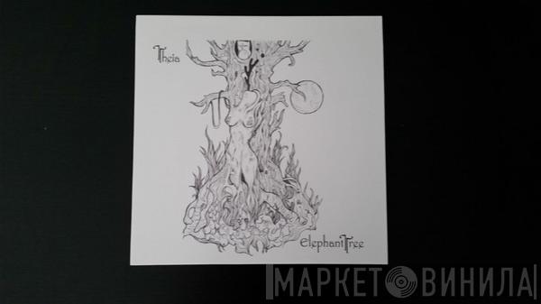  Elephant Tree  - Theia