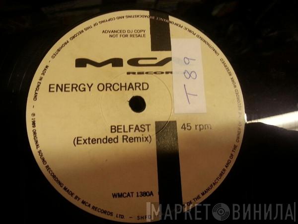 Energy Orchard - Belfast