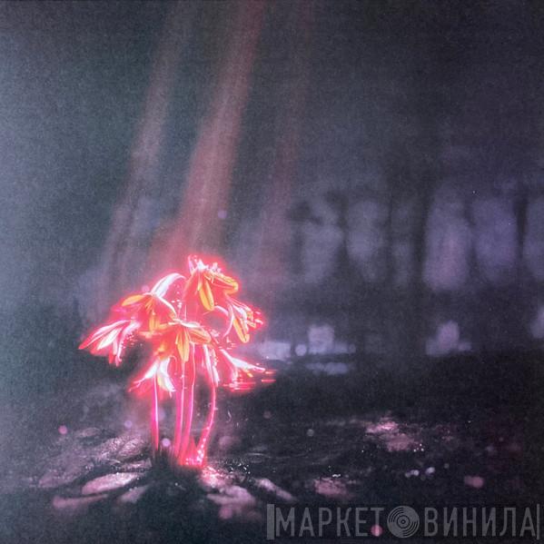 Enter Shikari - A Kiss For The Whole World