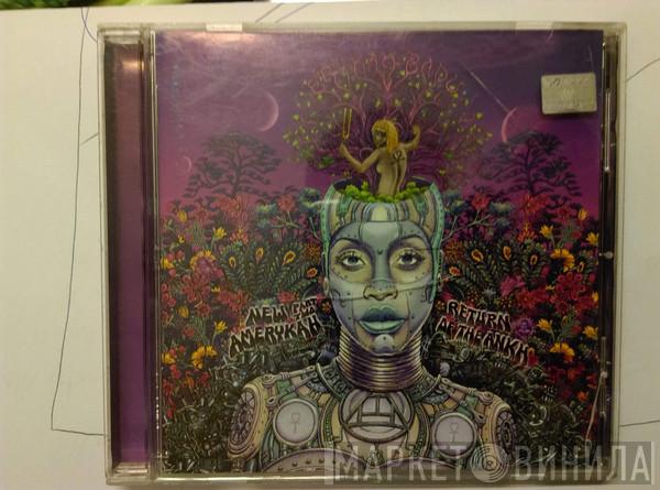  Erykah Badu  - New Amerykah Part Two: Return Of The Ankh