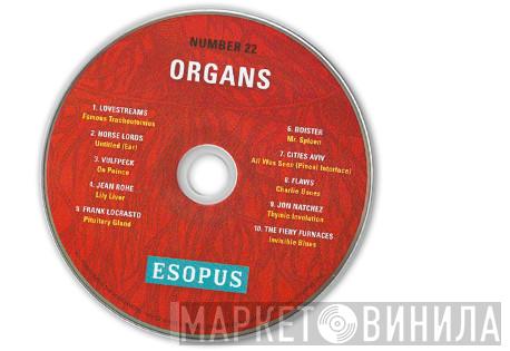  - Esopus Number 22 Organs