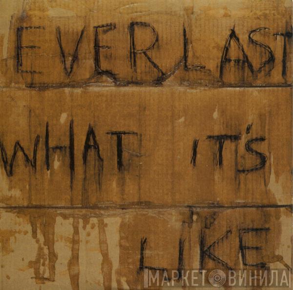 Everlast - What It's Like