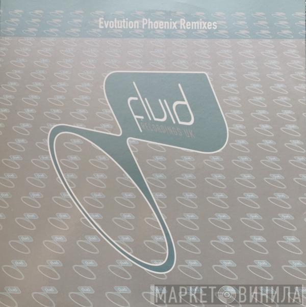 Evolution - Phoenix Remixes