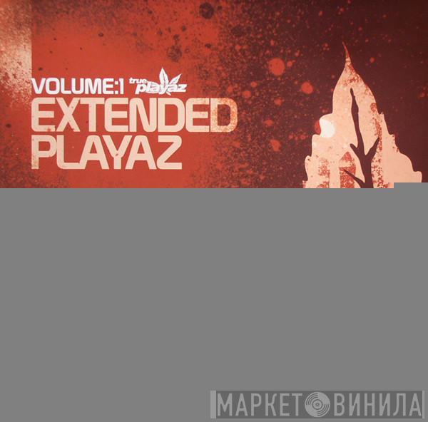  - Extended Playaz  Volume:1