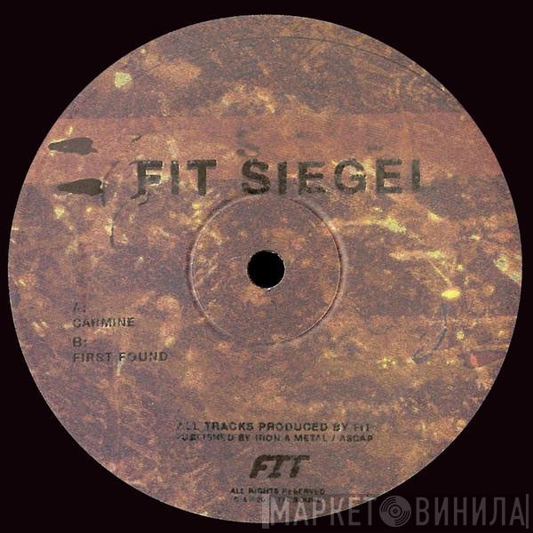 FIT Siegel - Carmine