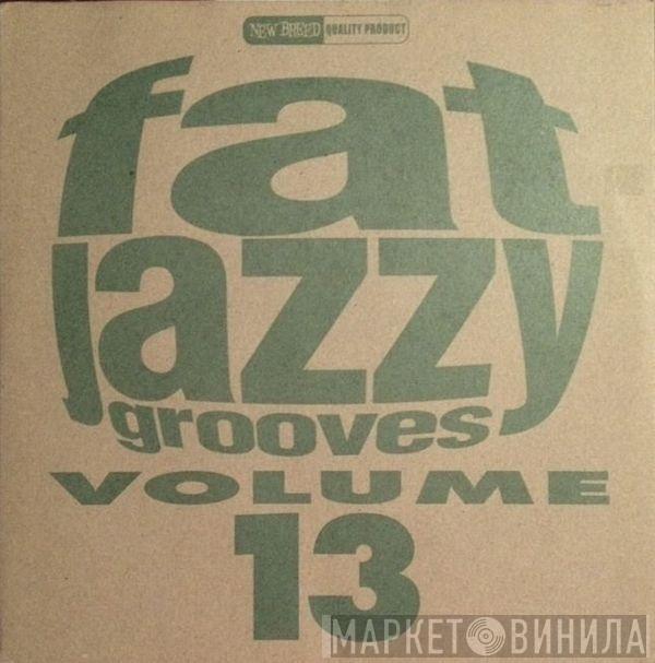  - Fat Jazzy Grooves Volume 13
