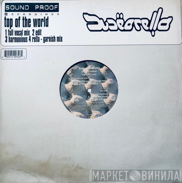 Feat: Dudearella  Shelley Nelson  - Top Of The World