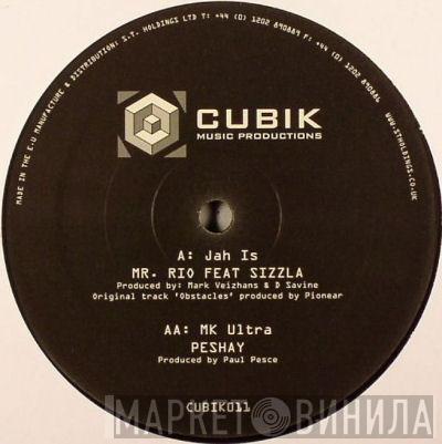 Feat Mr. Rio / Sizzla  Peshay  - Jah Is / MK Ultra