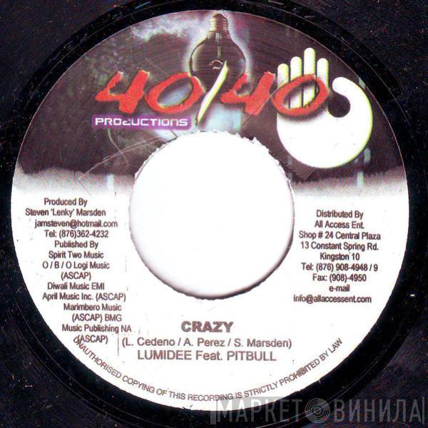Feat. Lumidee  Pitbull  - Crazy