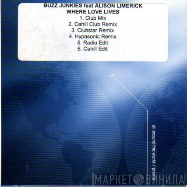 Feat. Buzz Junkies  Alison Limerick  - Where Love Lives