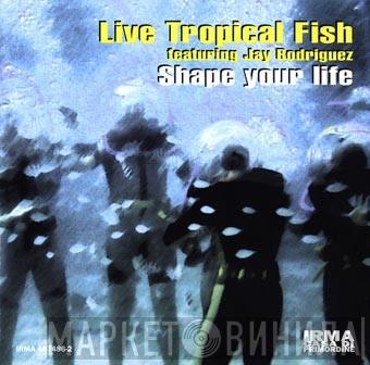 Featuring Live Tropical Fish  Jay Rodriguez  - Shape Your Life
