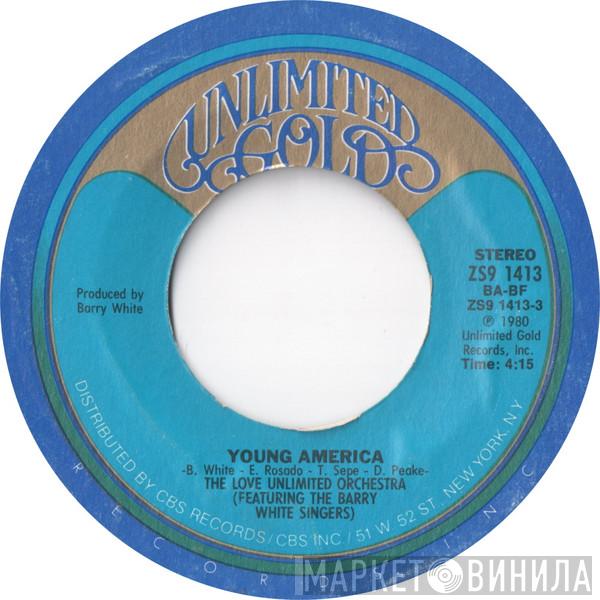 Featuring Love Unlimited Orchestra  The Barry White Singers  - Young America / Freeway Flyer