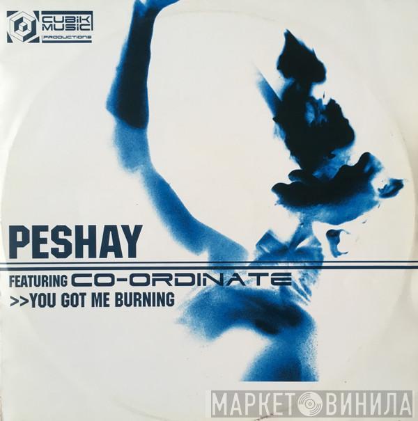Featuring Peshay  Co-Ordinate  - You Got Me Burning / Fuzion