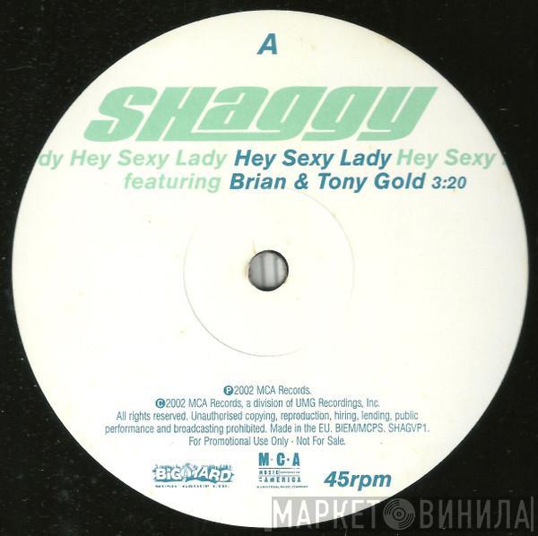 Featuring Shaggy  Brian & Tony Gold  - Hey Sexy Lady