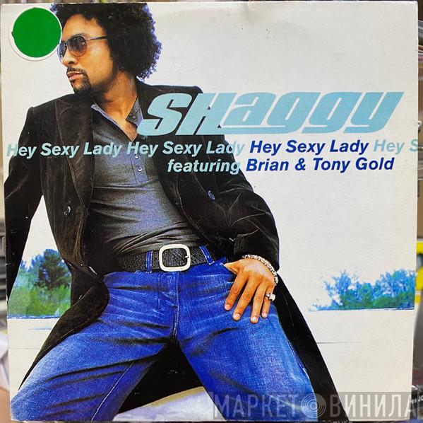 Featuring Shaggy  Rik Rok  - It Wasn't Me
