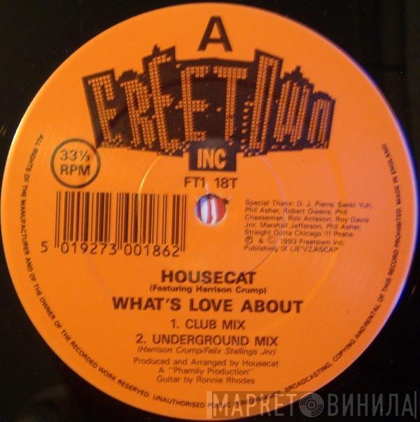 Felix Da Housecat - What's Love About