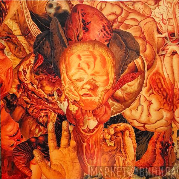 FesterDecay - Reality Rotten To The Core