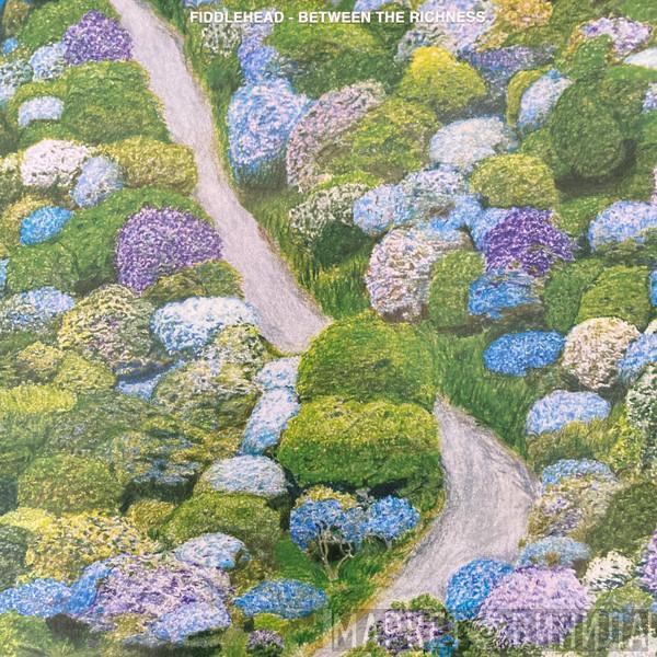 Fiddlehead  - Between the Richness