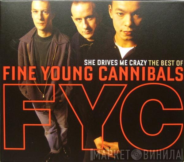 Fine Young Cannibals - She Drives Me Crazy: The Best Of
