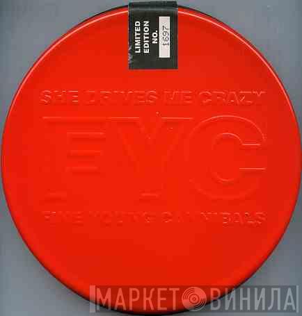 Fine Young Cannibals  - She Drives Me Crazy