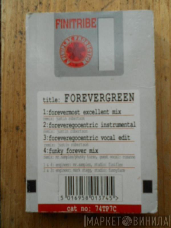  Finitribe  - Forevergreen
