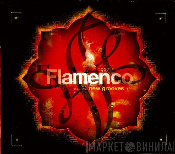  - Flamenco New Grooves