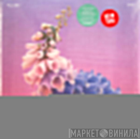 Flume - Skin
