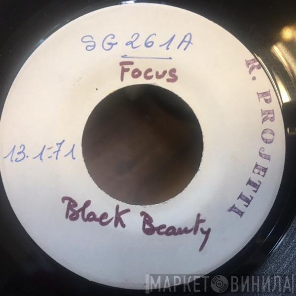  Focus   - Black Beauty / House Of The King