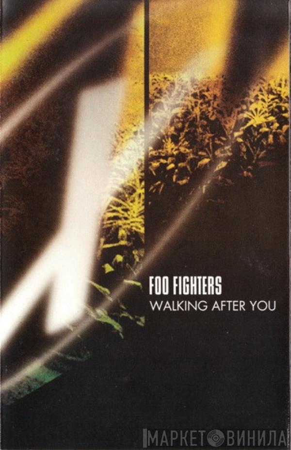  Foo Fighters  - Walking After You