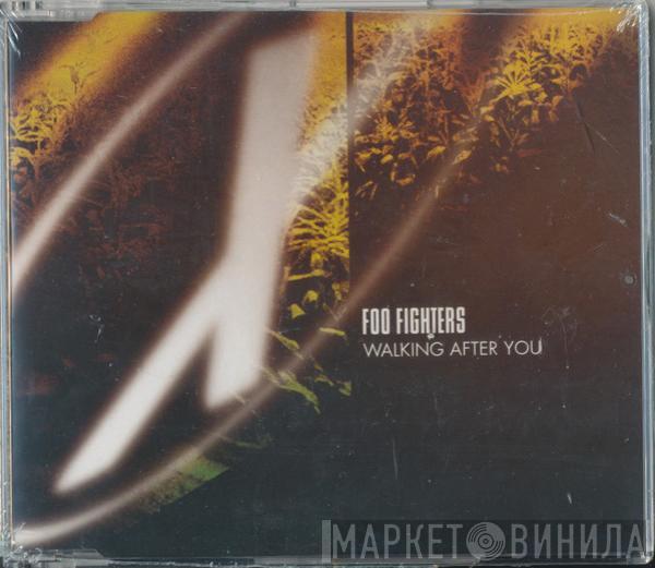  Foo Fighters  - Walking After You