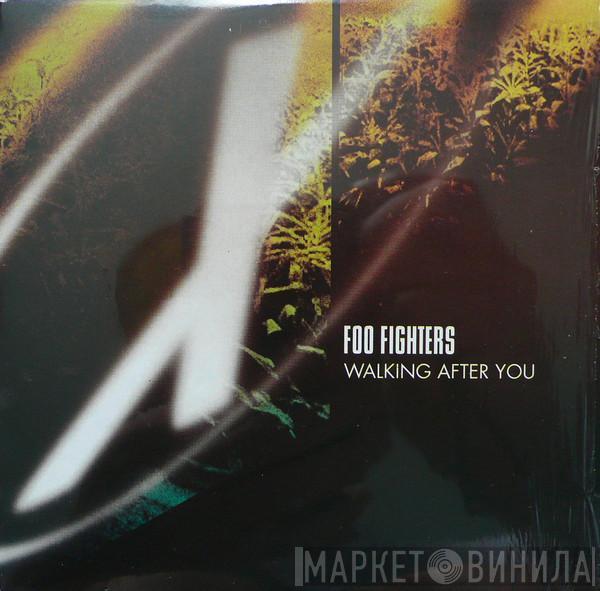  Foo Fighters  - Walking After You
