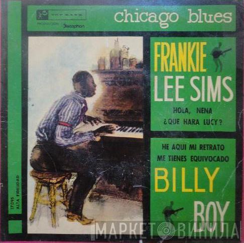 , Frankie Lee Sims  Billy Boy Arnold  - Chicago Blues
