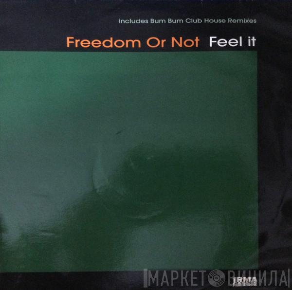 Freedom Or Not - Feel It