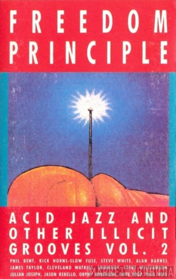  - Freedom Principle - Acid Jazz And Other Illicit Grooves Vol. 2