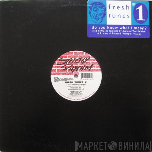  Fresh Tunes  - Do You Know What I Mean?
