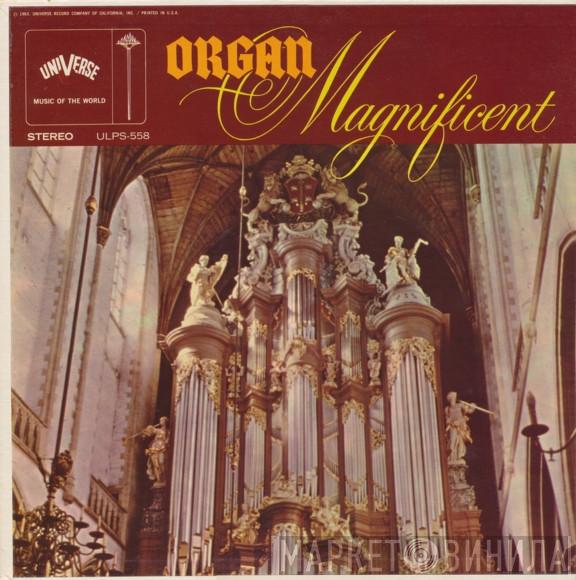  Günther Brausinger  - Organ Magnificent