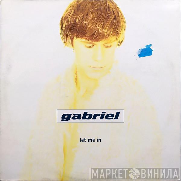 Gabriel Felder - Let Me In