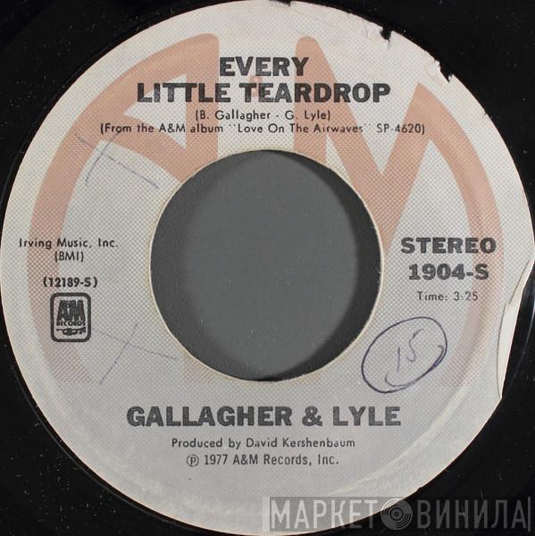  Gallagher & Lyle  - Every Little Teardrop