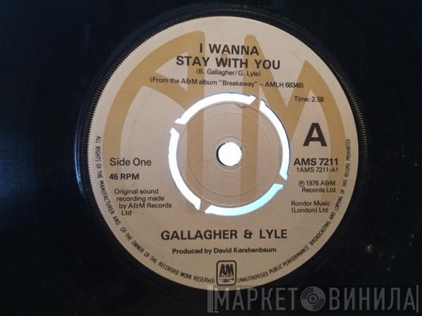  Gallagher & Lyle  - I Wanna Stay With You