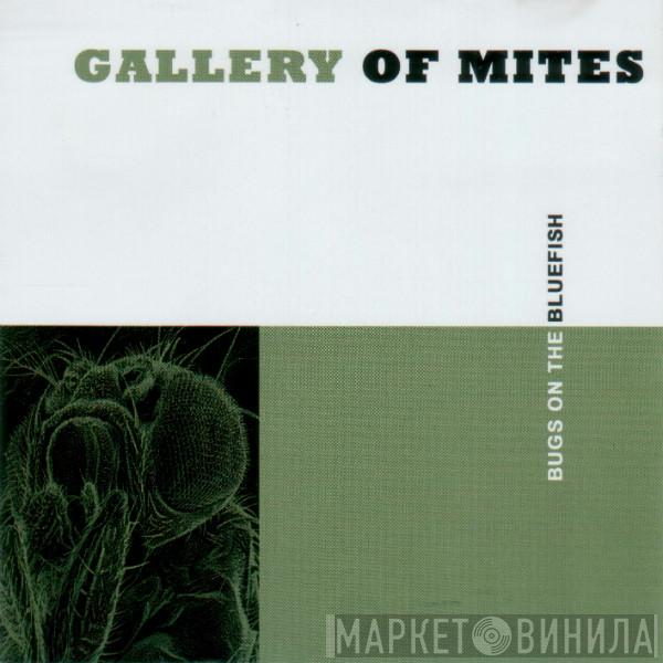  Gallery Of Mites  - Bugs On The Bluefish