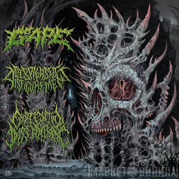 Gape, Displeased Disfigurement, Existential Dissipation - International Solidification 3 Way Split