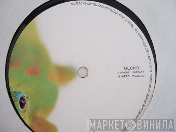  Gecko  - Surface / Transco