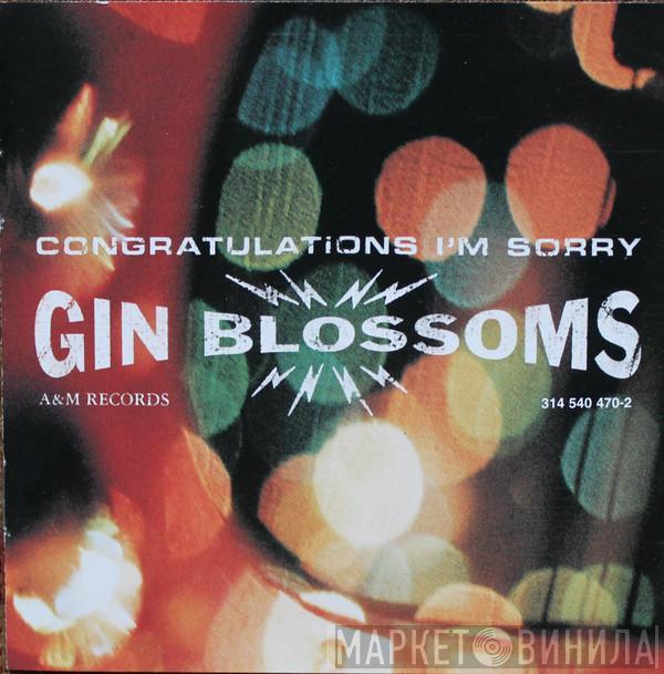 Gin Blossoms - Congratulations I'm Sorry