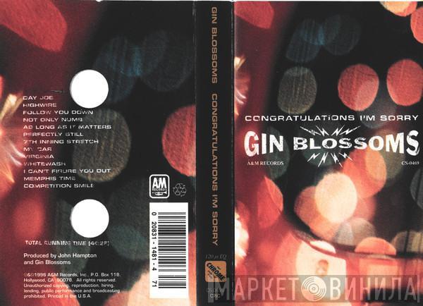  Gin Blossoms  - Congratulations I'm Sorry