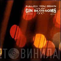  Gin Blossoms  - Follow You Down