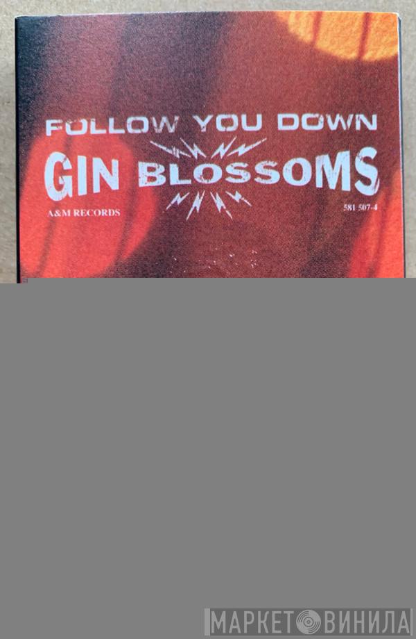Gin Blossoms - Follow You Down